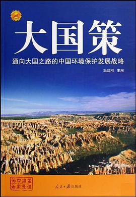 大国策 pdf epub mobi 电子书 下载