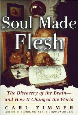 Soul Made Flesh pdf epub mobi 电子书 下载