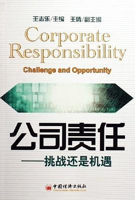 公司责任 pdf epub mobi 电子书 下载