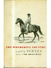 THE WONDERFUL COUNTRY pdf epub mobi 下载