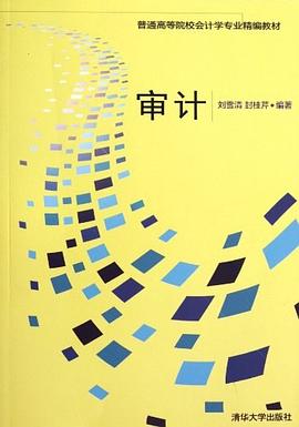 審計 pdf epub mobi 電子書 下載