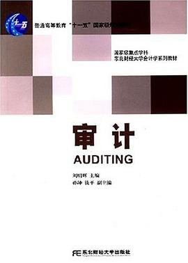 审计 pdf epub mobi 电子书 下载