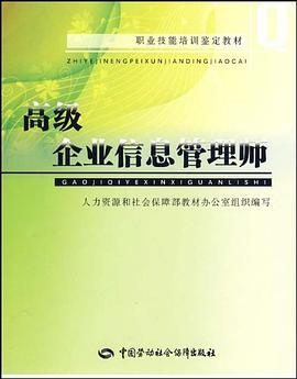 高级企业信息管理师 pdf epub mobi 电子书 下载