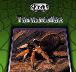 Tarantulas