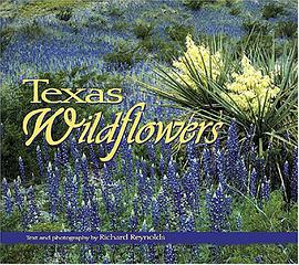Texas Wildflowers pdf epub mobi 下载