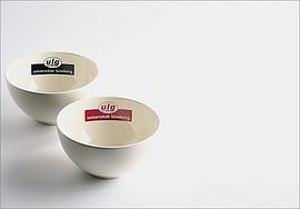 Branding the Campus pdf epub mobi 电子书 下载