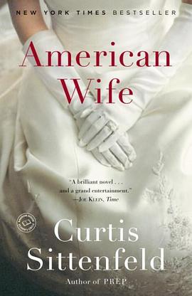 American Wife pdf epub mobi 电子书 下载