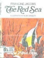 The Red Sea pdf epub mobi 电子书 下载