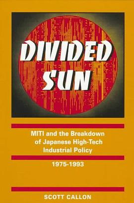Divided Sun pdf epub mobi 电子书 下载