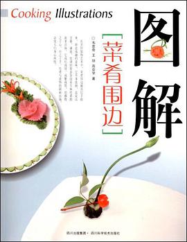 图解菜肴围边 pdf epub mobi 电子书 下载