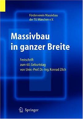 Massivbau in ganzer Breite pdf epub mobi 电子书 下载