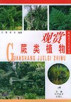 观赏蕨类植物/锦绣园艺系列图集 pdf epub mobi 电子书 下载