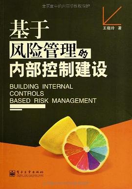 基於風險管理的內部控製建設 pdf epub mobi 電子書 下載