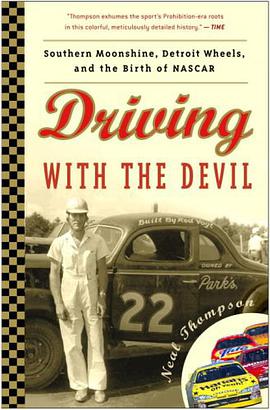 DRIVING WITH THE DEVIL pdf epub mobi 电子书 下载