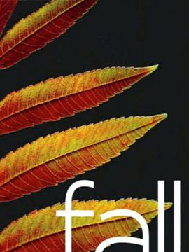 Fall pdf epub mobi 電子書 下載
