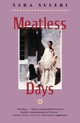 Meatless Days pdf epub mobi 电子书 下载