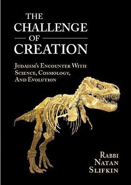 The Challenge of Creation pdf epub mobi 电子书 下载