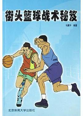 街头篮球战术秘笈 pdf epub mobi 电子书 下载