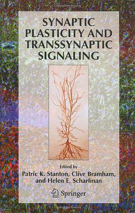 Synaptic Plasticity and Transsynaptic Signaling pdf epub mobi 电子书 下载