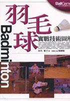 羽毛球實戰技術圖解 pdf epub mobi 电子书 下载