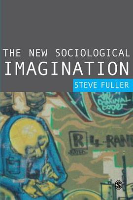 The New Sociological Imagination pdf epub mobi 电子书 下载