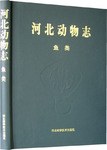 河北动物志 pdf epub mobi 电子书 下载