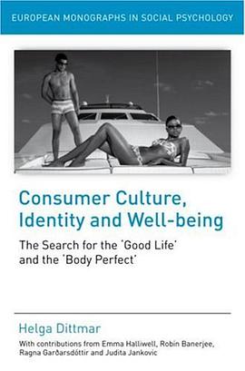 Consumer Culture, Identity, and Well-being pdf epub mobi 电子书 下载