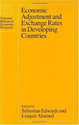 Economic Adjustment and Exchange Rates in Developing Countries (National Bureau of Economic Research pdf epub mobi 电子书 下载