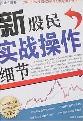新股民实战操作细节 pdf epub mobi 电子书 下载