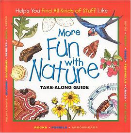 More Fun with Nature pdf epub mobi 电子书 下载