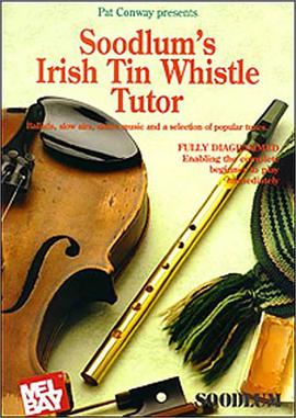 Irish Tinwhistle Tutor