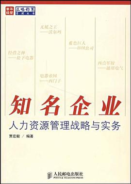 知名企业人力资源管理战略与实务 pdf epub mobi 电子书 下载