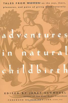 Adventures in Natural Childbirth pdf epub mobi 电子书 下载