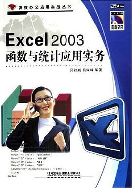 Excel 2003函数与统计应用实务 pdf epub mobi 电子书 下载