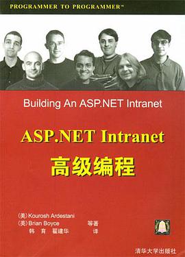 ASP.NET Intranet高级编程 pdf epub mobi 电子书 下载