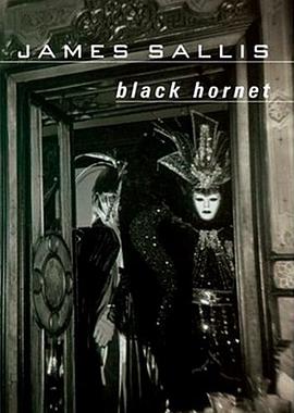Black Hornet pdf epub mobi 电子书 下载