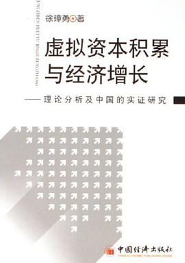 虚拟资本积累与经济增长-理论分析及中国的实证研究 pdf epub mobi 电子书 下载