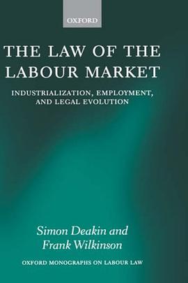 The Law of the Labour Market pdf epub mobi 電子書 下載
