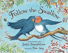 Follow the Swallow pdf epub mobi 电子书 下载
