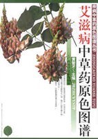 艾滋病中草药原色图谱/疾病中草药原色图谱丛书 pdf epub mobi 电子书 下载