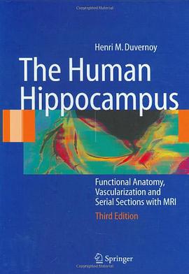 The Human Hippocampus pdf epub mobi 电子书 下载