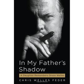 In My Father's Shadow pdf epub mobi 电子书 下载