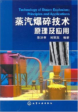 蒸汽爆碎技术原理及应用 pdf epub mobi 电子书 下载