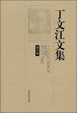 丁文江文集（第六卷） pdf epub mobi 电子书 下载