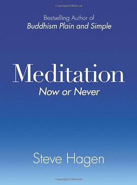 Meditation Now or Never pdf epub mobi 電子書 下載