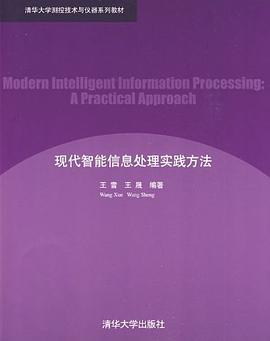 现代智能信息处理实践方法 pdf epub mobi 电子书 下载