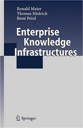 Enterprise Knowledge Infrastructures pdf epub mobi 电子书 下载