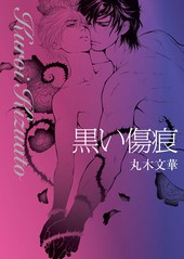 黒い傷痕 pdf epub mobi 电子书 下载