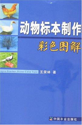 动物标本制作彩色图解