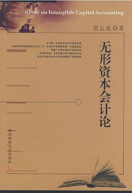 无形资本会计论 pdf epub mobi 电子书 下载